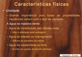 Características físicas 
• Umidade 
– Grande importância pois todas as propriedades 
mecânicas variam com o teor de umidade 
A água na madeira verde: 
– Água de constituição das células vivas 
• Não é alterada pela secagem; 
– Água de adesão ou impregnação 
• Satura as paredes da célula 
– Água de capilaridade ou livre 
• Enche os canais do tecido lenhoso 
Nogueira - Europa 
 