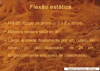 Flexão estática 
• MB-26: Corpo de prova Þ 2 x 2 x 30 cm 
• Madeira verde e seca ao ar 
• Carga aplicada diretamente por um cutelo, no 
centro do vão biapoiado, de 24 cm, 
tangencialmente aos anéis de crescimento 
Rádica de Vavona - Europa 
 