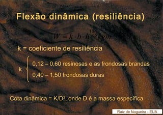 Flexão dinâmica (resiliência) 
10 = × × 
W k b h 6kgm 
k = coeficiente de resiliência 
0,12 – 0,60 resinosas e as frondosas brandas 
0,40 – 1,50 frondosas duras 
Cota dinâmica = K/D2, onde D é a massa específica 
Raiz de Nogueira - EUA 
k 
 