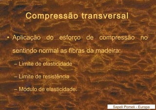 Compressão transversal 
• Aplicação do esforço de compressão no 
sentindo normal as fibras da madeira: 
– Limite de elasticidade 
– Limite de resistência 
– Módulo de elasticidade. 
Sapeli Pomeli - Europa 
 