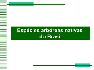 Espécies arbóreas nativas  do Brasil 