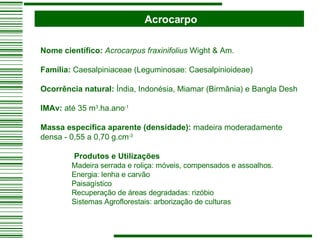 Acrocarpo Nome científico:   Acrocarpus fraxinifolius  Wight & Am. Família:  Caesalpiniaceae (Leguminosae: Caesalpinioideae)   Ocorrência natural:  Índia, Indonésia, Miamar (Birmânia) e Bangla Desh   IMAv:  até 35 m 3 .ha.ano -1   Massa específica aparente (densidade):  madeira moderadamente densa - 0,55 a 0,70 g.cm -3   Produtos e Utilizações   Madeira serrada e roliça: móveis, compensados e assoalhos. Energia: lenha e carvão Paisagístico  Recuperação de áreas degradadas: rizóbio Sistemas Agroflorestais: arborização de culturas 