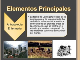 Antropología
Enfermería

• La teoría de Leininger procede de la
antropología y de la enfermería, ha
definido la enfermería transcultural
como una de las grandes áreas de
la enfermería, que se centra en el
estudio y el análisis comparado de
las diferentes culturas y subculturas
del mundo.

 