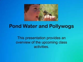 Pond Water and Pollywogs This presentation provides an overview of the upcoming class activities. 