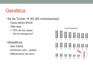 Genética
• Sd de Turner  X0 (45 cromosomas)
• Todos déficit SHOX
• Talla baja
• < 10% de los casos
• Rol de estrógenos?
• Idiopáticos
• Gen GNAS
• Síndrome uña – patela
• Alteraciones de novo
 