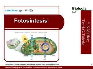 Biología
Santillana: pp. 117-132
                                                                                                                           SFC




              Fotosíntesis




                                                                                                                                 Trad.G.Toledo
                                                                                                                                  S.S.Mader;
               Copyright © The McGraw-Hill Companies, Inc. Permission required for reproduction or display.


                                                             H2O                                    CO2



                               Insert figure 7.4 here
                                          Solar
                                         energy
                                                                                                                   NADP+




                                                                          ADP + P
                                                                            NADP+                 Calvin
                                                                                                   Cycle
                                                                                                reacciones
                                                            Light
                                                         reacciones          NADP

                                                                              ATP


                                                                         thylakoid
                                         thylakoid                       membrane                             stroma
                                         membrane

                                                              O2                                CH2O




PowerPoint® Lecture Slides are prepared by Dr. Isaac Barjis, Biología Instructor                                                                 1
Copyright © The McGraw Hill Companies Inc. Permission required for reproduction or display
 