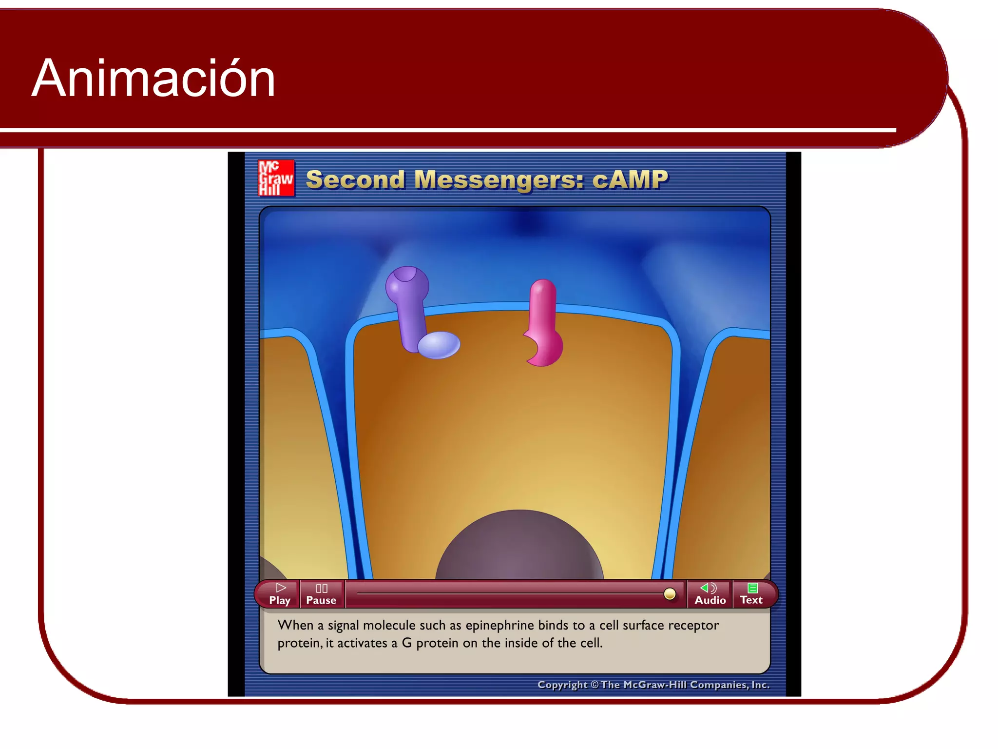 Animación


            Please note that due to differing
            operating systems, some Animacións
            will not appear until the presentation is
            viewed in Presentation Mode (Slide
            Show view). You may see blank slides
            in the “Normal” or “Slide Sorter” views.
            All Animacións will appear after viewing
            in Presentation Mode y playing each
            Animación. Most Animacións will
            require the latest version de the Flash
            Player, which is available at
            http://get.adobe.com/flashplayer.
 