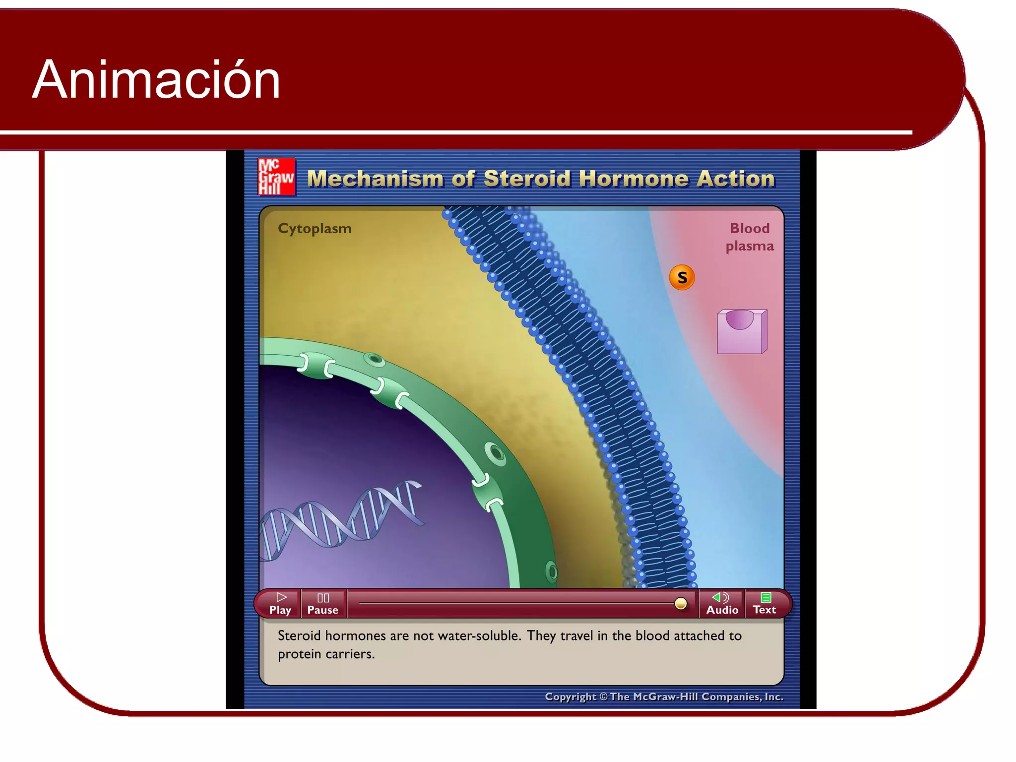 Animación


            Please note that due to differing
            operating systems, some Animacións
            will not appear until the presentation is
            viewed in Presentation Mode (Slide
            Show view). You may see blank slides
            in the “Normal” or “Slide Sorter” views.
            All Animacións will appear after
            viewing in Presentation Mode y playing
            each Animación. Most Animacións will
            require the latest version de the Flash
            Player, which is available at
            http://get.adobe.com/flashplayer.
 