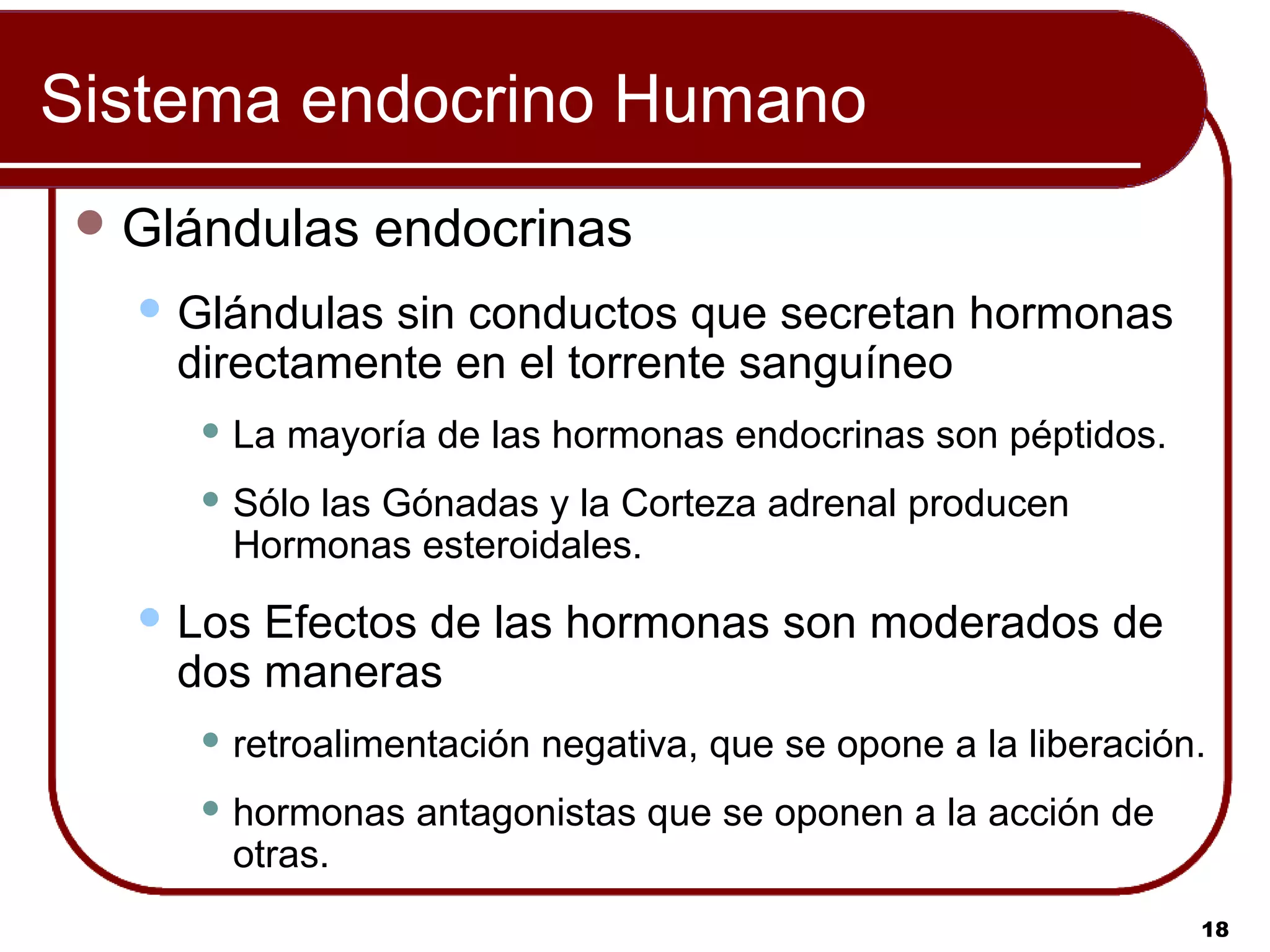 Sistema endocrino Humano
 Glándulas    endocrinas
   Glándulassin conductos que secretan hormonas
   directamente en el torrente sanguíneo
     La   mayoría de las hormonas endocrinas son péptidos.
     Sólolas Gónadas y la Corteza adrenal producen
      Hormonas esteroidales.
   LosEfectos de las hormonas son moderados de
   dos maneras
     retroalimentación   negativa, que se opone a la liberación.
     hormonas    antagonistas que se oponen a la acción de
      otras.
                                                                18
 
