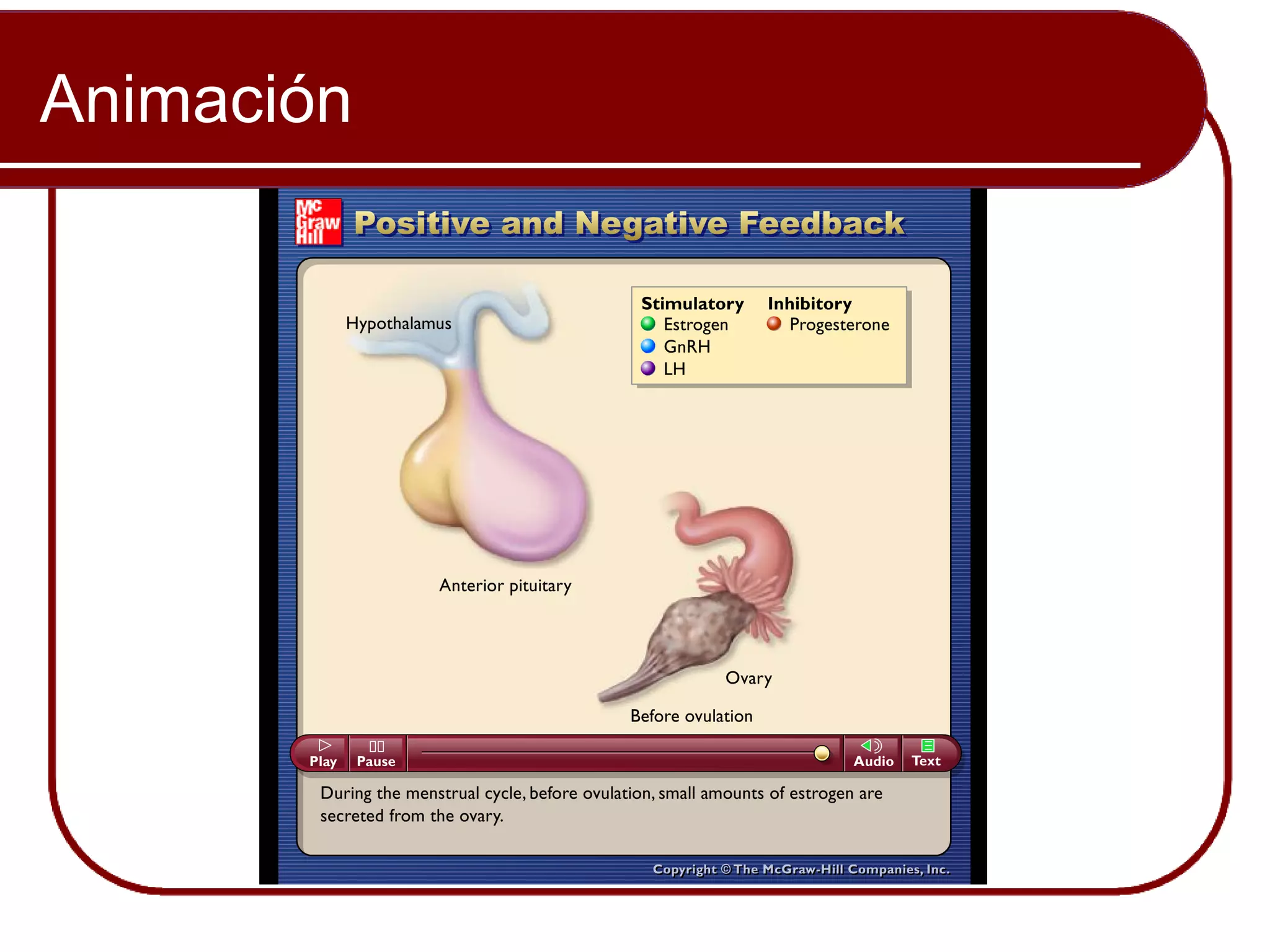 Animación


            Please note that due to differing
            operating systems, some Animacións
            will not appear until the presentation is
            viewed in Presentation Mode (Slide
            Show view). You may see blank slides
            in the “Normal” or “Slide Sorter” views.
            All Animacións will appear after viewing
            in Presentation Mode y playing each
            Animación. Most Animacións will
            require the latest version de the Flash
            Player, which is available at
            http://get.adobe.com/flashplayer.
 