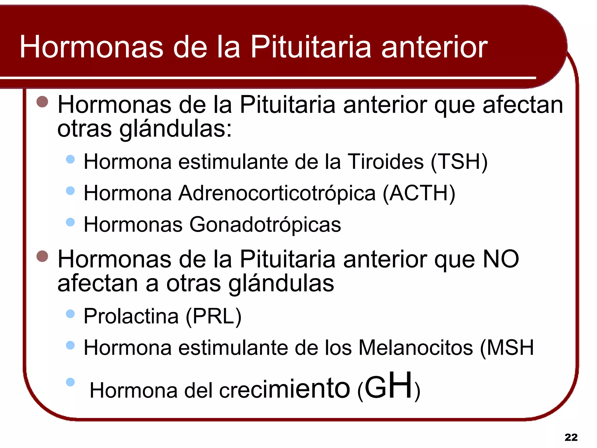 Hormonas de la Pituitaria anterior
  Hormonas  de la Pituitaria anterior que afectan
  otras glándulas:
    Hormona estimulante de la Tiroides (TSH)
    Hormona Adrenocorticotrópica (ACTH)

    Hormonas Gonadotrópicas

  Hormonas  de la Pituitaria anterior que NO
  afectan a otras glándulas
    Prolactina
              (PRL)
    Hormona estimulante de los Melanocitos (MSH

   
       Hormona del crecimiento (G  H)
                                                     22
 