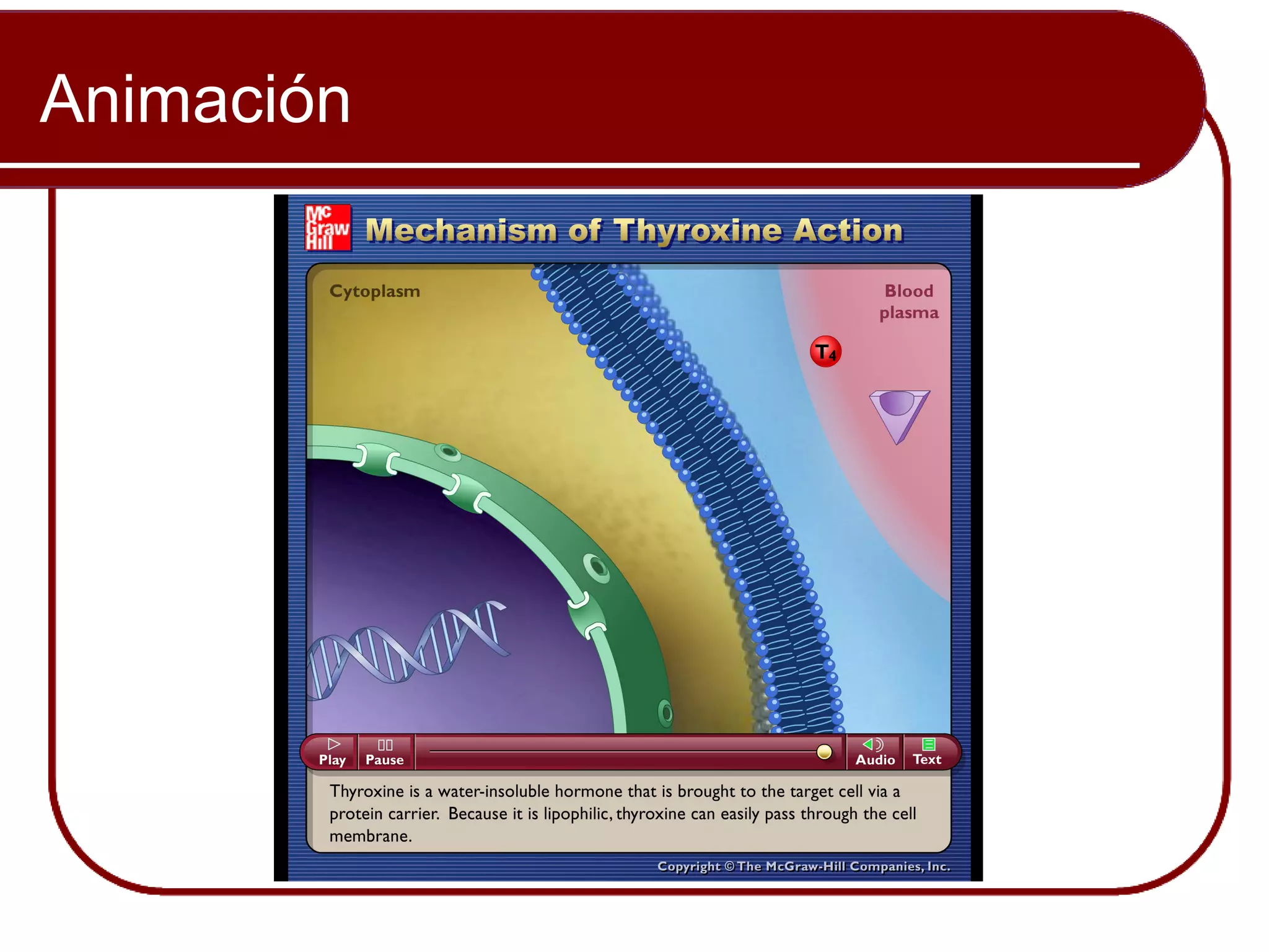 Animación


            Please note that due to differing
            operating systems, some Animacións
            will not appear until the presentation is
            viewed in Presentation Mode (Slide
            Show view). You may see blank slides
            in the “Normal” or “Slide Sorter” views.
            All Animacións will appear after viewing
            in Presentation Mode y playing each
            Animación. Most Animacións will
            require the latest version de the Flash
            Player, which is available at
            http://get.adobe.com/flashplayer.
 