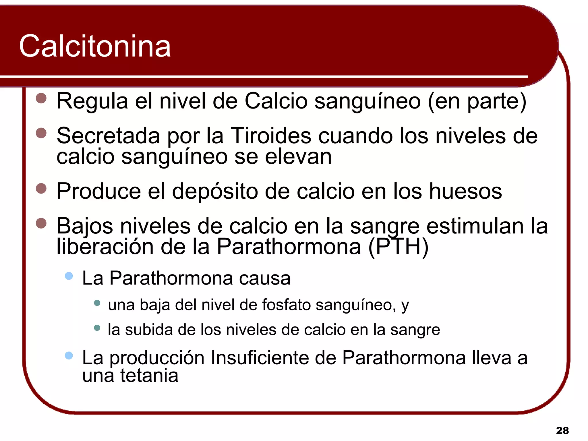Calcitonina
  Regula      el nivel de Calcio sanguíneo (en parte)
  Secretada por la Tiroides cuando los niveles de
  calcio sanguíneo se elevan
  Produce       el depósito de calcio en los huesos
  Bajos niveles de calcio en la sangre estimulan la
  liberación de la Parathormona (PTH)
      La Parathormona causa
           una baja del nivel de fosfato sanguíneo, y
           la subida de los niveles de calcio en la sangre
      La producción Insuficiente de Parathormona lleva a
       una tetania

                                                              28
 