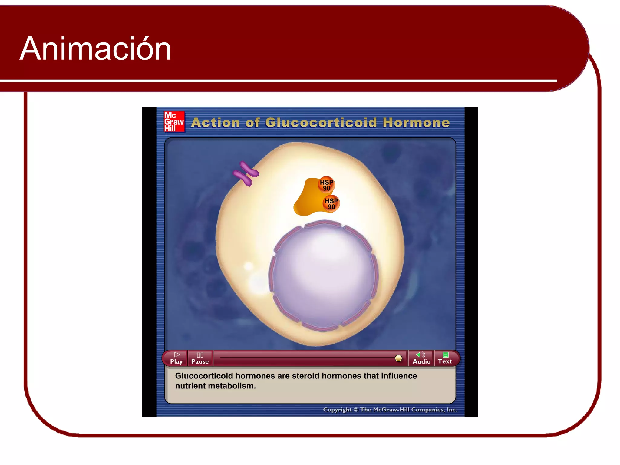 Animación


            Please note that due to differing
            operating systems, some Animacións
            will not appear until the presentation is
            viewed in Presentation Mode (Slide
            Show view). You may see blank slides
            in the “Normal” or “Slide Sorter” views.
            All Animacións will appear after viewing
            in Presentation Mode y playing each
            Animación. Most Animacións will
            require the latest version de the Flash
            Player, which is available at
            http://get.adobe.com/flashplayer.
 