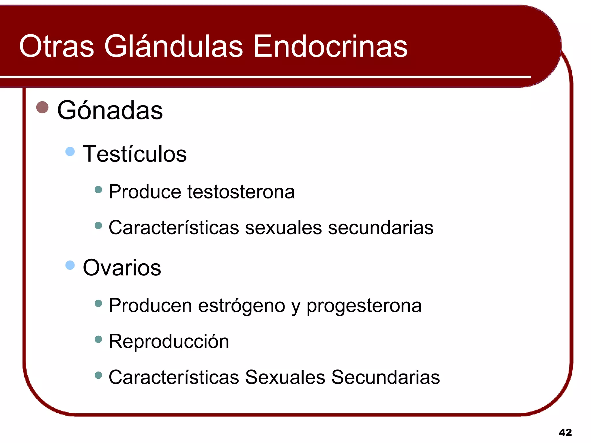 Otras Glándulas Endocrinas
  Gónadas

    Testículos

      Produce   testosterona
      Características   sexuales secundarias
    Ovarios

      Producen   estrógeno y progesterona
      Reproducción

      Características   Sexuales Secundarias

                                                42
 