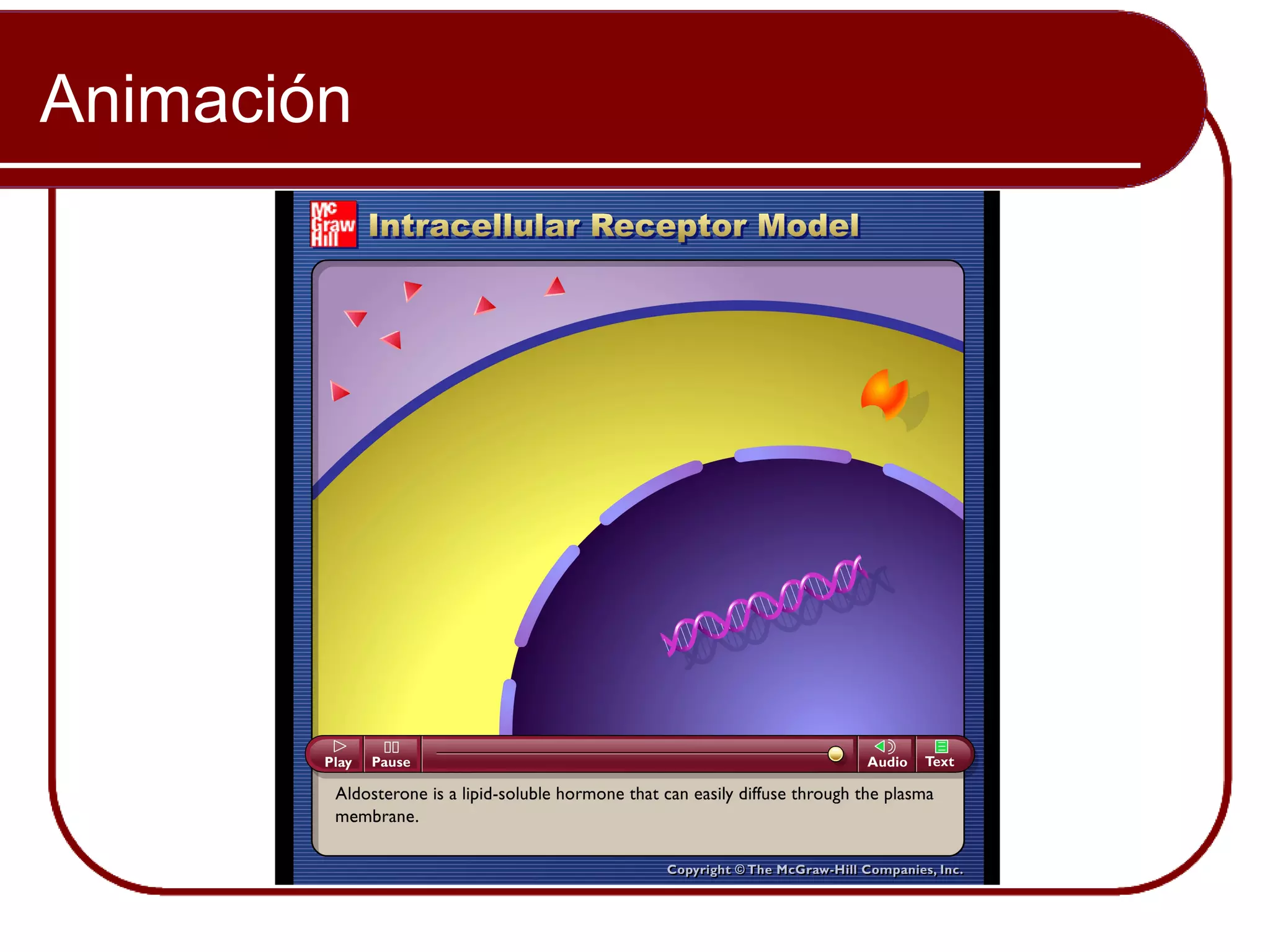 Animación


            Please note that due to differing
            operating systems, some Animacións
            will not appear until the presentation is
            viewed in Presentation Mode (Slide
            Show view). You may see blank slides
            in the “Normal” or “Slide Sorter” views.
            All Animacións will appear after viewing
            in Presentation Mode y playing each
            Animación. Most Animacións will
            require the latest version de the Flash
            Player, which is available at
            http://get.adobe.com/flashplayer.
 