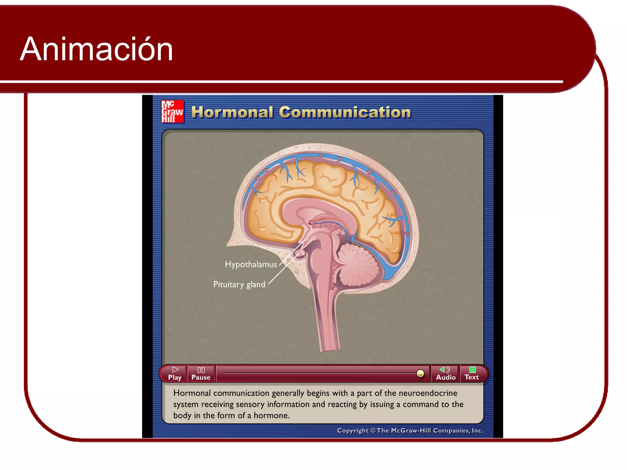 Animación


            Please note that due to differing
            operating systems, some Animacións
            will not appear until the presentation is
            viewed in Presentation Mode (Slide
            Show view). You may see blank slides
            in the “Normal” or “Slide Sorter” views.
            All Animacións will appear after viewing
            in Presentation Mode y playing each
            Animación. Most Animacións will
            require the latest version de the Flash
            Player, which is available at
            http://get.adobe.com/flashplayer.
 
