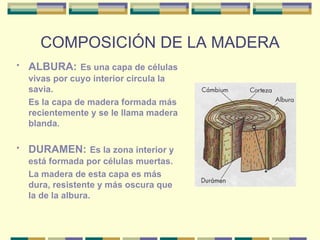 COMPOSICIÓN DE LA MADERA ALBURA:   Es una capa de células vivas por cuyo interior circula la savia. Es la capa de madera formada más recientemente y se le llama madera blanda. DURAMEN:   Es la zona interior y está formada por células muertas. La madera de esta capa es más dura, resistente y más oscura que la de la albura. 