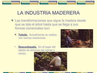 LA INDUSTRIA MADERERA Talado.   Actualmente se realiza con sierras mecánicas. Las transformaciones que sigue la madera desde que se tala el árbol hasta que se llega a sus formas comerciales son: Descortezado.   En el lugar del talado se eliminan las ramas y raíces. 