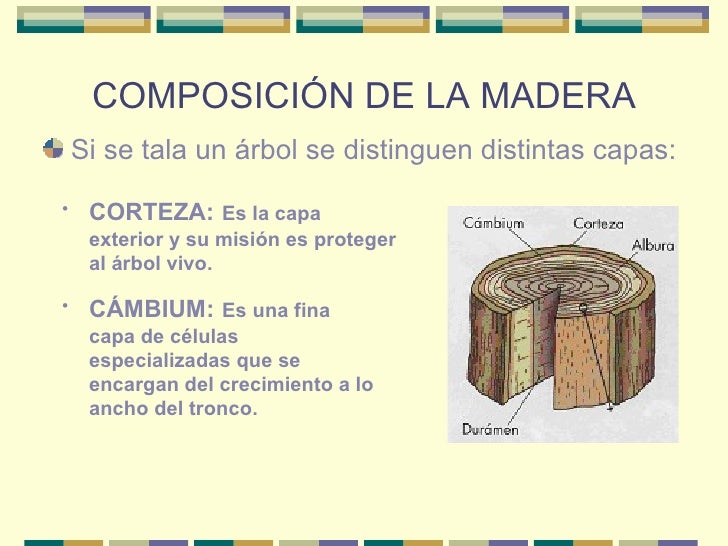 Maderas