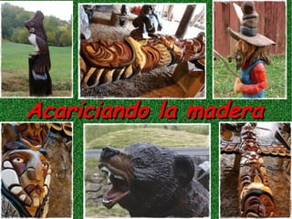 Acariciando la madera
 