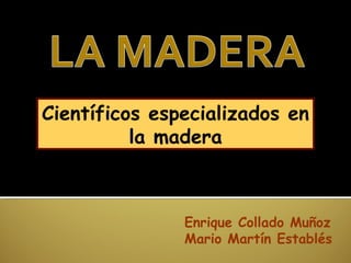 Enrique Collado Muñoz
Mario Martín Establés
Científicos especializados en
la madera
 