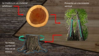 La madera es un material
ortótropo
Presenta un crecimiento
vertical
Su mayor
contenido
esta en el
tronco
 
