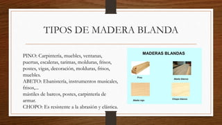 TIPOS DE MADERA BLANDA
PINO: Carpintería, muebles, ventanas,
puertas, escaleras, tarimas, molduras, frisos,
postes, vigas, decoración, molduras, frisos,
muebles.
ABETO: Ebanistería, instrumentos musicales,
frisos,...
mástiles de barcos, postes, carpintería de
armar.
CHOPO: Es resistente a la abrasión y elástica.
 