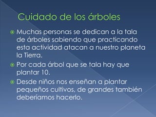   Mesa de madera. La madera ecológicaLa madera cuya extracción no daña el medio ambiente es denominada madera ecológica. La asociación encargada de cuidarla es la FSC: El Consejo de Administración Forestal.La misión oficial del Consejo es "Promover el manejo ambientalmente apropiado, socialmente benéfico y económicamente viable de los bosques del mundo“ (Wikipedia)