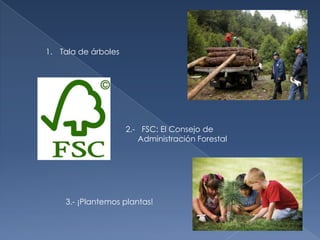 Cuidado de los árbolesMuchas personas se dedican a la tala de árboles sabiendo que practicando esta actividad atacan a nuestro planeta la Tierra.Por cada árbol que se tala hay que plantar 10.Desde niños nos enseñan a plantar pequeños cultivos, de grandes también deberíamos hacerlo.