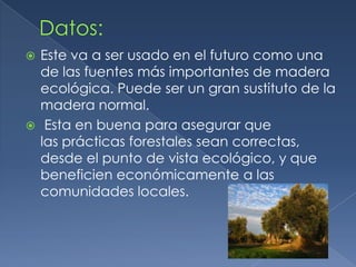 La madera ecológica: ImportanciaEs muy útil especialmente para fabricar magníficas obras maestras.Se usa más para la construcción de diseños de casas.Esta madera puede ser algo costosa debido a el transporte y por la mano de obra.