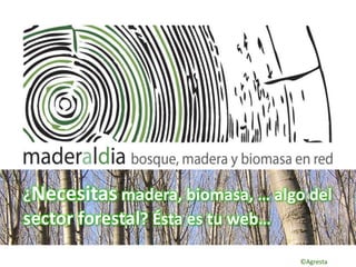 ¿Necesitas madera, biomasa, … algo del
sector forestal? Ésta es tu web…
                                  ©Agresta
 