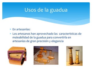 Usos de la guadua 
 En artesanías: 
 Los artesanos han aprovechado las características de 
maleabilidad de la guadua para convertirla en 
artesanías de gran precisión y elegancia 
 