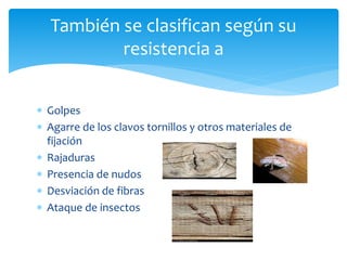También se clasifican según su 
resistencia a 
 Golpes 
 Agarre de los clavos tornillos y otros materiales de 
fijación 
 Rajaduras 
 Presencia de nudos 
 Desviación de fibras 
 Ataque de insectos 
 