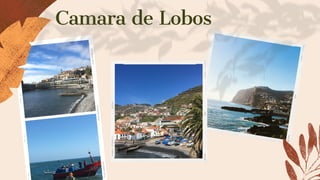 Camara de Lobos
 