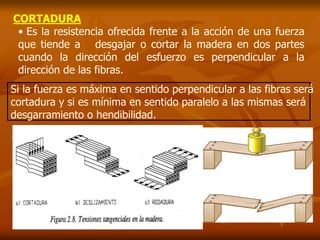 CORTADURA 
• Es la resistencia ofrecida frente a la acción de una fuerza 
que tiende a desgajar o cortar la madera en dos partes 
cuando la dirección del esfuerzo es perpendicular a la 
dirección de las fibras. 
Si la fuerza es máxima en sentido perpendicular a las fibras será 
cortadura y si es mínima en sentido paralelo a las mismas será 
desgarramiento o hendibilidad. 
 