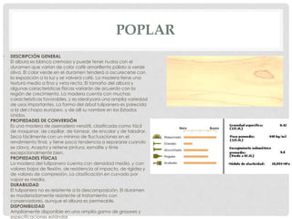 POPLAR
• DESCRIPCIÓN GENERAL
El albura es blanco cremoso y puede tener nudos con el
duramen que varían de color café amarillento pálido a verde
oliva. El color verde en el duramen tenderá a oscurecerse con
la exposición a la luz y se volverá café. La madera tiene una
textura media a fina y veta recta. El tamaño del albura y
algunas características físicas variarán de acuerdo con la
región de crecimiento. La madera cuenta con muchas
características favorables, y es ideal para una amplia variedad
de usos importantes. La forma del árbol tulipanero es parecida
a la del chopo europeo, y de allí su nombre en los Estados
Unidos.
PROPIEDADES DE CONVERSIÓN
Es una madera de aserradero versátil, clasificada como fácil
de maquinar, de cepillar, de tornear, de encolar y de taladrar.
Seca fácilmente con un mínimo de fluctuaciones en el
rendimiento final, y tiene poca tendencia a separarse cuando
se clava. Acepta y retiene pintura, esmalte y tinte
excepcionalmente bien.
PROPIEDADES FÍSICAS
La madera del tulipanero cuenta con densidad media, y con
valores bajos de flexión, de resistencia al impacto, de rigidez y
de valores de compresión. La clasificación en curvado por
vapor es media.
DURABILIDAD
El tulipanero no es resistente a la descomposición. El duramen
es moderadamente resistente al tratamiento con
conservadores, aunque el albura es permeable.
DISPONIBILIDAD
Ampliamente disponible en una amplia gama de grosores y
especificaciones estándar.
 