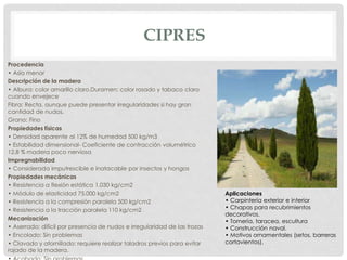 CIPRES
Procedencia
• Asia menor
Descripción de la madera
• Albura: color amarillo claro.Duramen: color rosado y tabaco claro
cuando envejece
Fibra: Recta, aunque puede presentar irregularidades si hay gran
cantidad de nudos.
Grano: Fino
Propiedades físicas
• Densidad aparente al 12% de humedad 500 kg/m3
• Estabilidad dimensional- Coeficiente de contracción volumétrico
12,8 % madera poco nerviosa
Impregnabilidad
• Considerada imputrescible e inatacable por insectos y hongos
Propiedades mecánicas
• Resistencia a flexión estática 1.030 kg/cm2
• Módulo de elasticidad 75.000 kg/cm2
• Resistencia a la compresión paralela 500 kg/cm2
• Resistencia a la tracción paralela 110 kg/cm2
Mecanización
• Aserrado: difícil por presencia de nudos e irregularidad de las trozas
• Encolado: Sin problemas
• Clavado y atornillado: requiere realizar taladros previos para evitar
rajado de la madera.
Aplicaciones
• Carpintería exterior e interior
• Chapas para recubrimientos
decorativos.
• Tornería, taracea, escultura
• Construcción naval.
• Motivos ornamentales (setos, barreras
cortavientos).
 