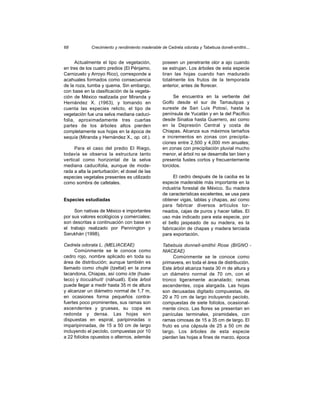 68            Crecimiento y rendimiento maderable de Cedrela odorata y Tabebuia donell-smithii...


      Actualmente el tipo de vegetación,           poseen un penetrante olor a ajo cuando
en tres de los cuatro predios (El Pénjamo,         se estrujan. Los árboles de esta especie
Carnizuelo y Arroyo Rico), corresponde a           tiran las hojas cuando han madurado
acahuales formados como consecuencia               totalmente los frutos de la temporada
de la roza, tumba y quema. Sin embargo,            anterior, antes de florecer.
con base en la clasificación de la vegeta-
ción de México realizada por Miranda y                   Se encuentra en la vertiente del
Hernández X. (1963), y tomando en                  Golfo desde el sur de Tamaulipas y
cuenta las especies relicto, el tipo de            sureste de San Luis Potosí, hasta la
vegetación fue una selva mediana caduci-           península de Yucatán y en la del Pacífico
folia, aproximadamente tres cuartas                desde Sinaloa hasta Guerrero, así como
partes de los árboles altos pierden                en la Depresión Central y costa de
completamente sus hojas en la época de             Chiapas. Alcanza sus máximos tamaños
sequía (Miranda y Hernández X., op. cit.).         e incrementos en zonas con precipita-
                                                   ciones entre 2,500 y 4,000 mm anuales;
     Para el caso del predio El Riego,             en zonas con precipitación pluvial mucho
todavía se observa la estructura tanto             menor, el árbol no se desarrolla tan bien y
vertical como horizontal de la selva               presenta fustes cortos y frecuentemente
mediana caducifolia, aunque de mode-               torcidos.
rada a alta la perturbación; el dosel de las
especies vegetales presentes es utilizado                El cedro después de la caoba es la
como sombra de cafetales.                          especie maderable más importante en la
                                                   industria forestal de México. Su madera
                                                   de características excelentes, se usa para
Especies estudiadas                                obtener vigas, tablas y chapas, así como
                                                   para fabricar diversos artículos tor-
     Son nativas de México e importantes           neados, cajas de puros y hacer tallas. El
por sus valores ecológicos y comerciales;          uso más indicado para esta especie, por
son descritas a continuación con base en           el bello jaspeado de su madera, es la
el trabajo realizado por Pennington y              fabricación de chapas y madera terciada
Sarukhán (1998).                                   para exportación.

Cedrela odorata L. (MELIACEAE)                     Tabebuia donnell-smithii Rose (BIGNO -
     Comúnmente se le conoce como                  NIACEAE)
cedro rojo, nombre aplicado en toda su                  Comúnmente se le conoce como
área de distribución; aunque también es            primavera, en toda el área de distribución.
llamado como chujté (tzeltal) en la zona           Este árbol alcanza hasta 30 m de altura y
lacandona, Chiapas, así como icte (huas-           un diámetro normal de 70 cm, con el
teco) y tiocuáhuitl (náhuatl). Este árbol          tronco ligeramente acanalado; ramas
puede llegar a medir hasta 35 m de altura          ascendentes, copa alargada. Las hojas
y alcanzar un diámetro normal de 1,7 m,            son decusadas digitado compuestas, de
en ocasiones forma pequeños contra-                20 a 70 cm de largo incluyendo pecíolo,
fuertes poco prominentes, sus ramas son            compuestas de siete folíolos, ocasional-
ascendentes y gruesas, su copa es                  mente cinco. Las flores se presentan en
redonda y densa. Las hojas son                     panículas terminales, piramidales, con
dispuestas en espiral, paripinnadas o              ramas cimosas de 15 a 35 cm de largo. El
imparipinnadas, de 15 a 50 cm de largo             fruto es una cápsula de 25 a 50 cm de
incluyendo el pecíolo, compuestas por 10           largo. Los árboles de esta especie
a 22 folíolos opuestos o alternos, además          pierden las hojas a fines de marzo, época
 