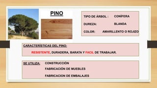 CARACTERÍSTICAS DEL PINO:
TIPO DE ÁRBOL :
RESISTENTE, DURADERA, BARATA Y FACIL DE TRABAJAR.
CONÍFERA
DUREZA: BLANDA
COLOR: AMARILLENTO O ROJIZO
PINO
SE UTILIZA: CONSTRUCCIÓN
FABRICACIÓN DE MUEBLES
FABRICACION DE EMBALAJES
 