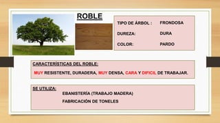 CARACTERÍSTICAS DEL ROBLE:
TIPO DE ÁRBOL :
MUY RESISTENTE, DURADERA, MUY DENSA, CARA Y DIFICIL DE TRABAJAR.
FRONDOSA
DUREZA: DURA
COLOR: PARDO
ROBLE
SE UTILIZA:
EBANISTERÍA (TRABAJO MADERA)
FABRICACIÓN DE TONELES
 