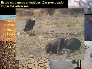 Estas mudanças climáticas têm provocado
impactos adversos
 graves conseqüências (IPCC in Worldwatch institute, 2001)
 Aumento do nível do mar e inundação costeira
 Intempéries mais freqüentes e intensas;
 Pressões em sistemas hídricos e agrícolas;
 Padrões mutantes de migração ;
 Perda de biodiversidade;
 Maior incidência de doenças infecciosas
 Fome
Chiropotes
satanas
Cuxiú-preto
UF: MA, PA
 