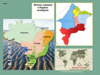 Biomas, hotspotsBiomas, hotspots
e Regiõese Regiões
ecológicasecológicas
/www.biodiversityhotspots.org
 