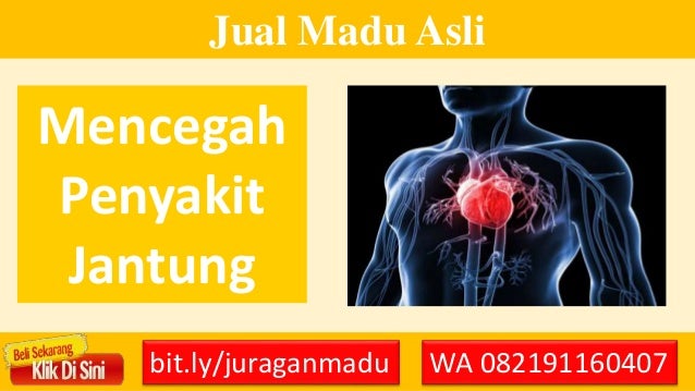 Jual Madu Hutan jual madu hutan is taba di maros Jual Madu Hutan jual madu hutan is taba di maros