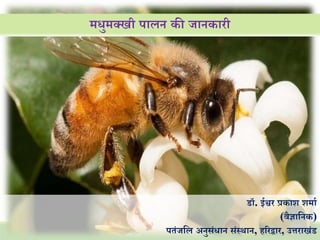 मधुमक्खी पालन की जानकारी
डॉ. ईश्वर प्रकाश शमाा
(वैज्ञाननक)
पतंजनल अनुसंधान संस्थान, हररद्वार, उत्तराखंड
 