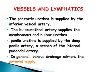  The prostatic urethra is supplied by the
inferior vesical artery.
 The bulbourethral artery supplies the
membranous and bulbar urethra
 penile urethra is supplied by the deep
penile artery, a branch of the internal
pudendal artery.
 In general, venous drainage mirrors the
arterial supply
 
