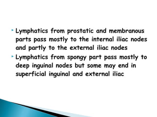  Lymphatics from prostatic and membranous
parts pass mostly to the internal iliac nodes
and partly to the external iliac nodes
 Lymphatics from spongy part pass mostly to
deep inguinal nodes but some may end in
superficial inguinal and external iliac
 