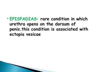  EPISPADIAS: rare condition in which
urethra opens on the dorsum of
penis.this condition is associated with
ectopia vesicae
 