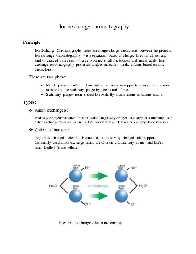 Principle Of Ion Exchange Chromatography