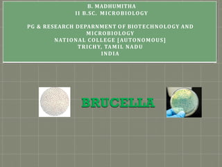 B. MADHUMITHA
II B.SC. MICROBIOLOGY
PG & RESEARCH DEPARNMENT OF BIOTECHNOLOGY AND
MICROBIOLOGY
NATIONAL COLLEGE [AUTONOMOUS]
TRICHY, TAMIL NADU
INDIA
 